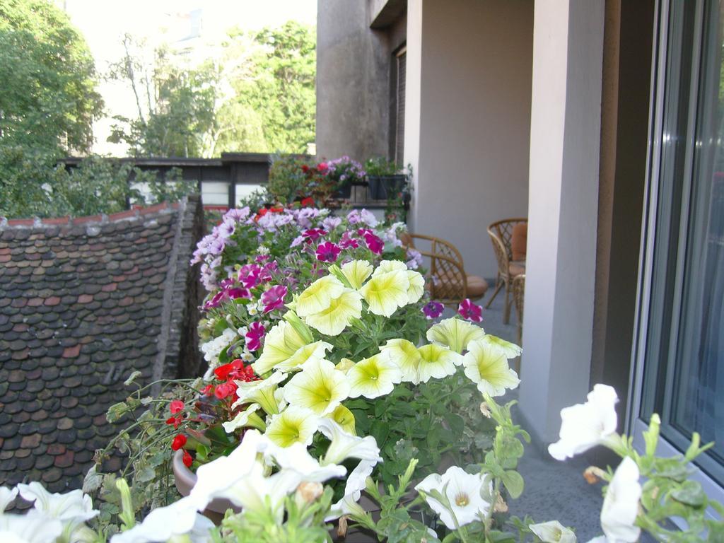 Apartment Deligradska 베오그라드 외부 사진